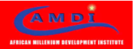 Logo African Millennium Development Institute (AMDI)