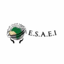 Logo Ecole Supérieure Africaine d'Etudes Islamiques (ESAEI)