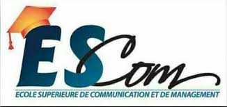 Logo Ecole Supérieure de Communication et Management (ESCOM)