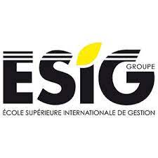 Logo Ecole Supérieure Internationale de gestion des Affaires et du Développement (ESIG)