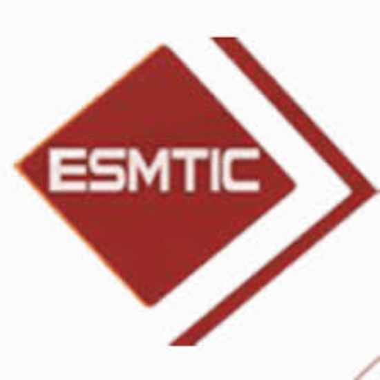 Logo Ecole supérieure de Management, de télécommunication d'Informatique et de Certification (ESMTIC/Privée)