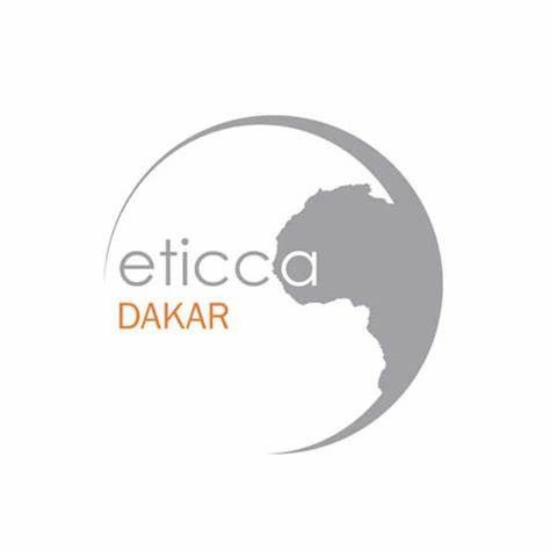Logo Ecole des Techniques Internationales de Communication, de Commerce et des Affaires (ETICCA)