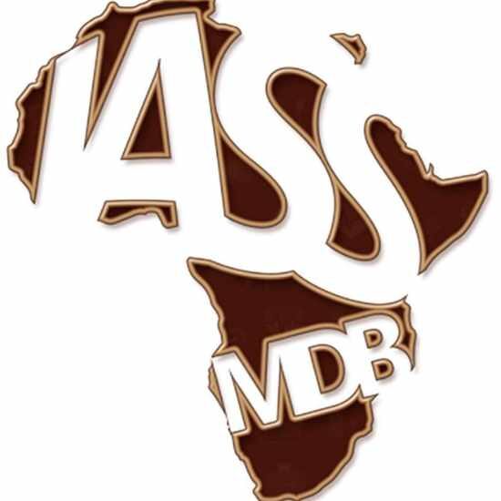 Logo Institut africain de Santé sociale Mame Diarra Bousso/Privé (IASS-MDB)