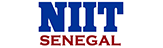 Logo National Institute of Information Technology (NIIT)